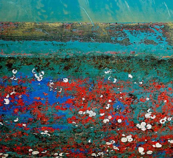 Beverley Saunders